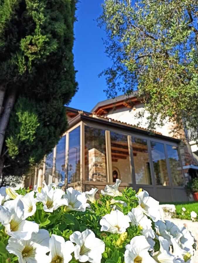 קולה Le Zampolle B & B מראה חיצוני תמונה
