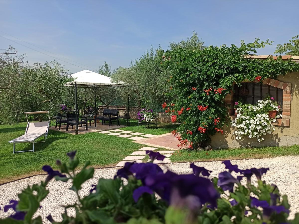 קולה Le Zampolle B & B מראה חיצוני תמונה